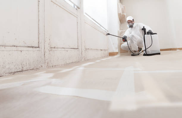 24/7 Emergency Mold Removal experts in Wakefield, VA