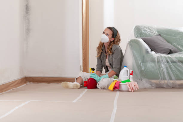 Reliable Mold Removal contractor in Wakefield, VA by 24 Hour Mold Removal